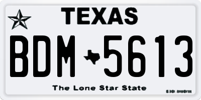 TX license plate BDM5613