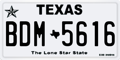 TX license plate BDM5616