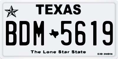 TX license plate BDM5619