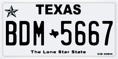 TX license plate BDM5667