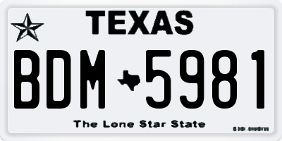 TX license plate BDM5981