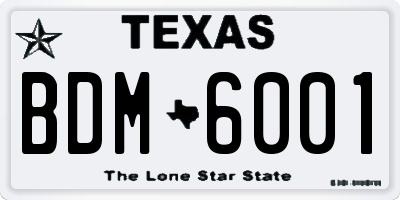 TX license plate BDM6001