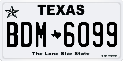 TX license plate BDM6099