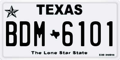 TX license plate BDM6101