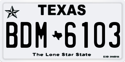 TX license plate BDM6103