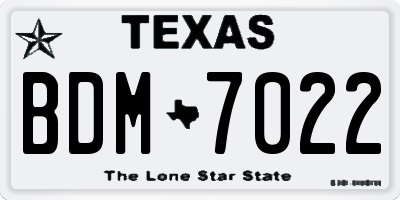 TX license plate BDM7022