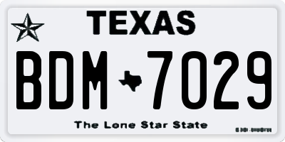 TX license plate BDM7029