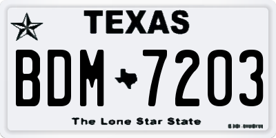 TX license plate BDM7203