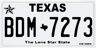 TX license plate BDM7273