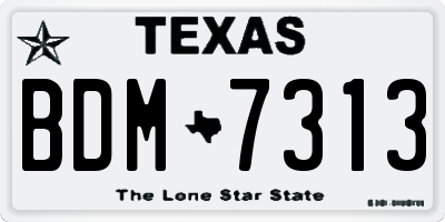 TX license plate BDM7313