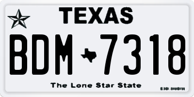 TX license plate BDM7318