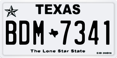 TX license plate BDM7341