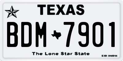 TX license plate BDM7901