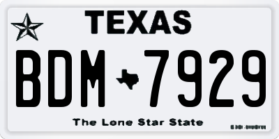 TX license plate BDM7929