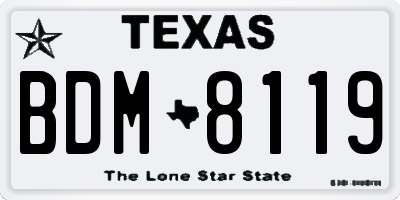 TX license plate BDM8119