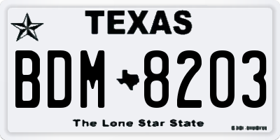 TX license plate BDM8203