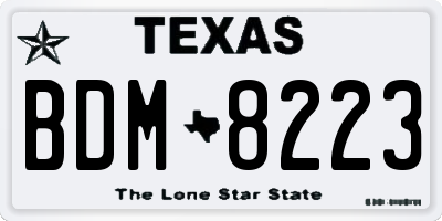 TX license plate BDM8223