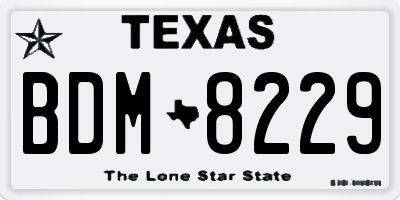 TX license plate BDM8229