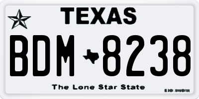 TX license plate BDM8238