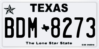 TX license plate BDM8273