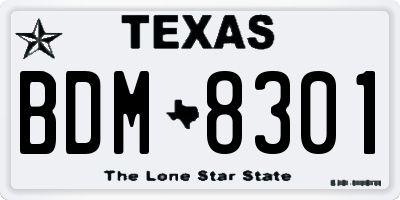TX license plate BDM8301