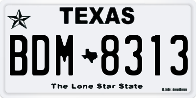 TX license plate BDM8313