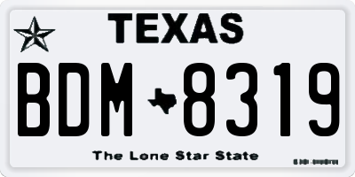 TX license plate BDM8319