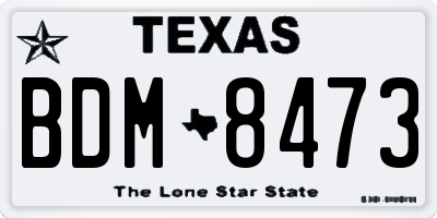 TX license plate BDM8473