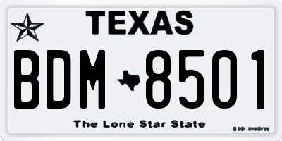 TX license plate BDM8501