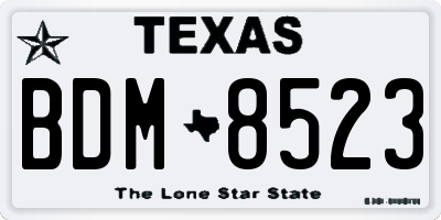 TX license plate BDM8523