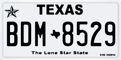 TX license plate BDM8529