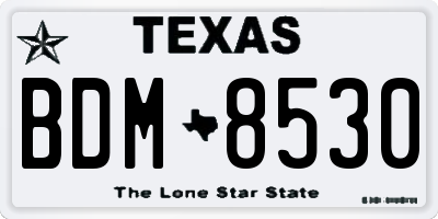 TX license plate BDM8530