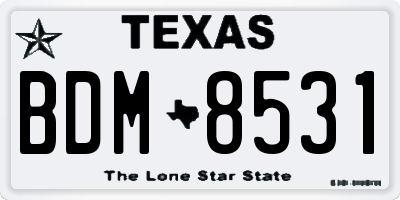 TX license plate BDM8531