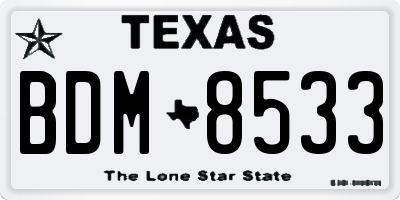 TX license plate BDM8533