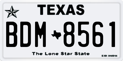 TX license plate BDM8561