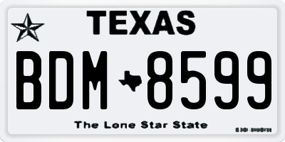 TX license plate BDM8599