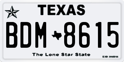 TX license plate BDM8615