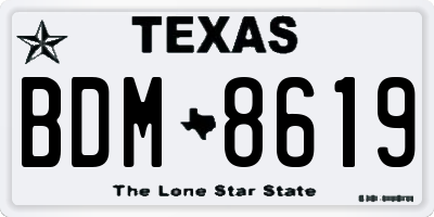 TX license plate BDM8619