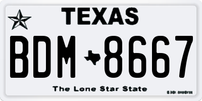 TX license plate BDM8667