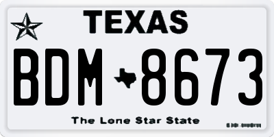 TX license plate BDM8673