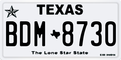 TX license plate BDM8730