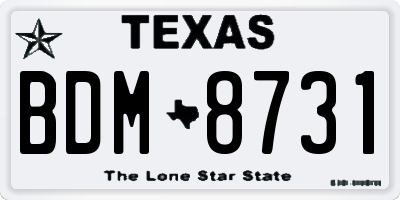 TX license plate BDM8731