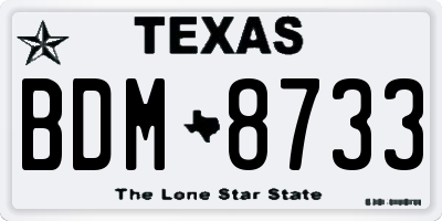 TX license plate BDM8733