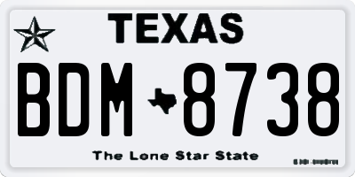 TX license plate BDM8738
