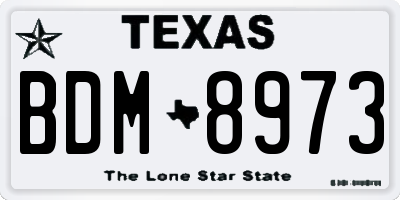 TX license plate BDM8973