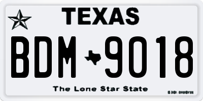 TX license plate BDM9018