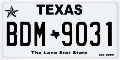 TX license plate BDM9031