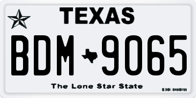 TX license plate BDM9065