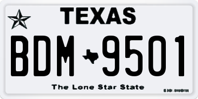 TX license plate BDM9501