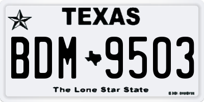 TX license plate BDM9503